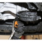 Butterfly 1/4 thumbnail